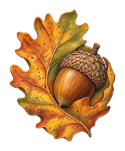 Load image into Gallery viewer, Bur Oak and Acorn M145 original magnet artwork
