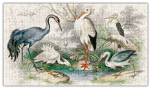 Load image into Gallery viewer, Birds Puzzle #6702