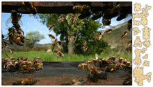 Load image into Gallery viewer, Honeycomb I'm Home Puzzle