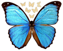 Load image into Gallery viewer, Whimsical Butterfly Puzzle