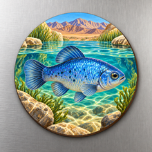 Load image into Gallery viewer, Pupfish Pool M131 wooden magnet on a stainless steel refrigerator with a subtle laser-cut wood edge
