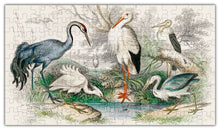 Load image into Gallery viewer, Birds Puzzle #6702
