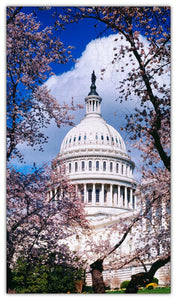 U.S. Capitol in Cherry Blossoms Jigsaw Puzzle #6728