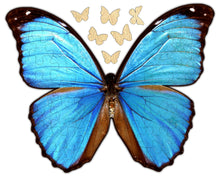 Load image into Gallery viewer, Whimsical Butterfly Puzzle
