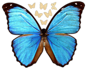 Whimsical Butterfly Puzzle