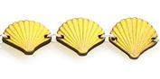 Sea Shell Bracelet 7504D