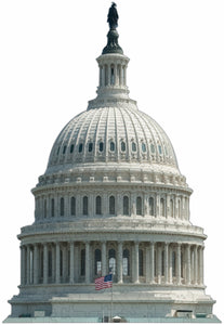 Whimsical U.S Capitol Puzzle