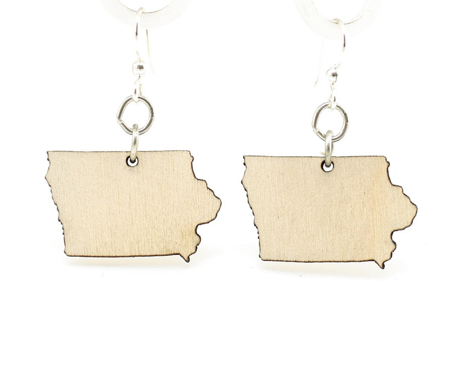 Iowa State Earrings - S015