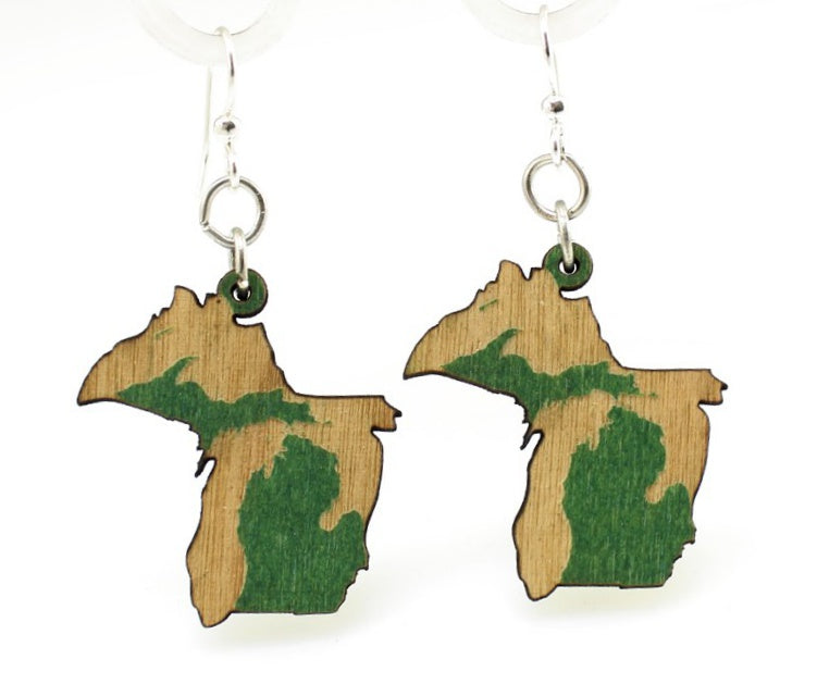 Michigan State Earrings - S022